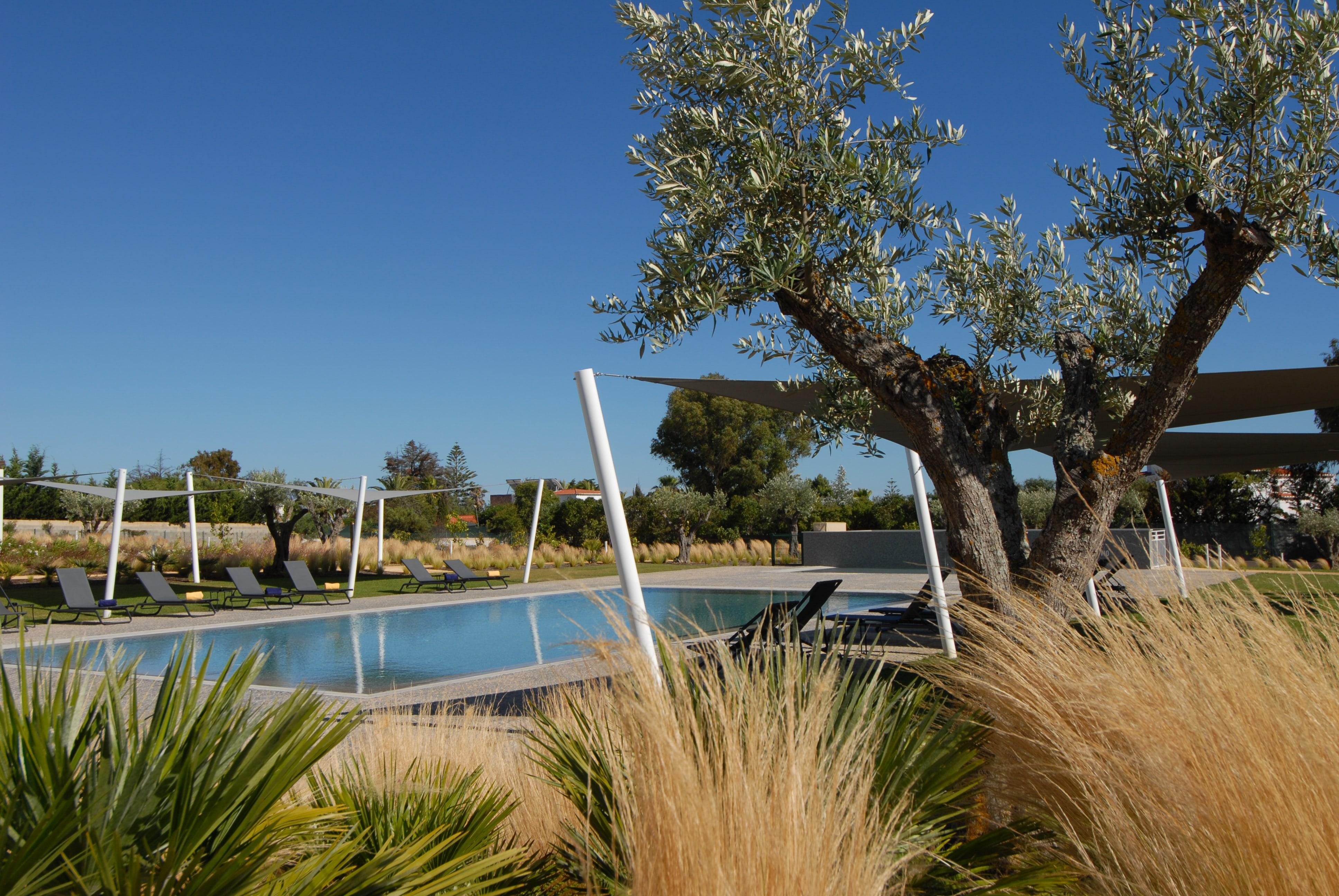 Quinta Do Algarvio Village Carvoeiro  Dış mekan fotoğraf